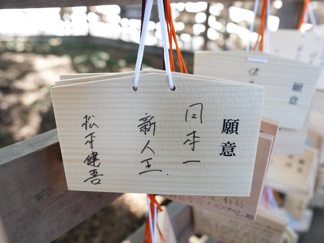 明治神宮での必勝祈願を終え奉納されたヤクルト松本健の絵馬（撮影・小沢裕）