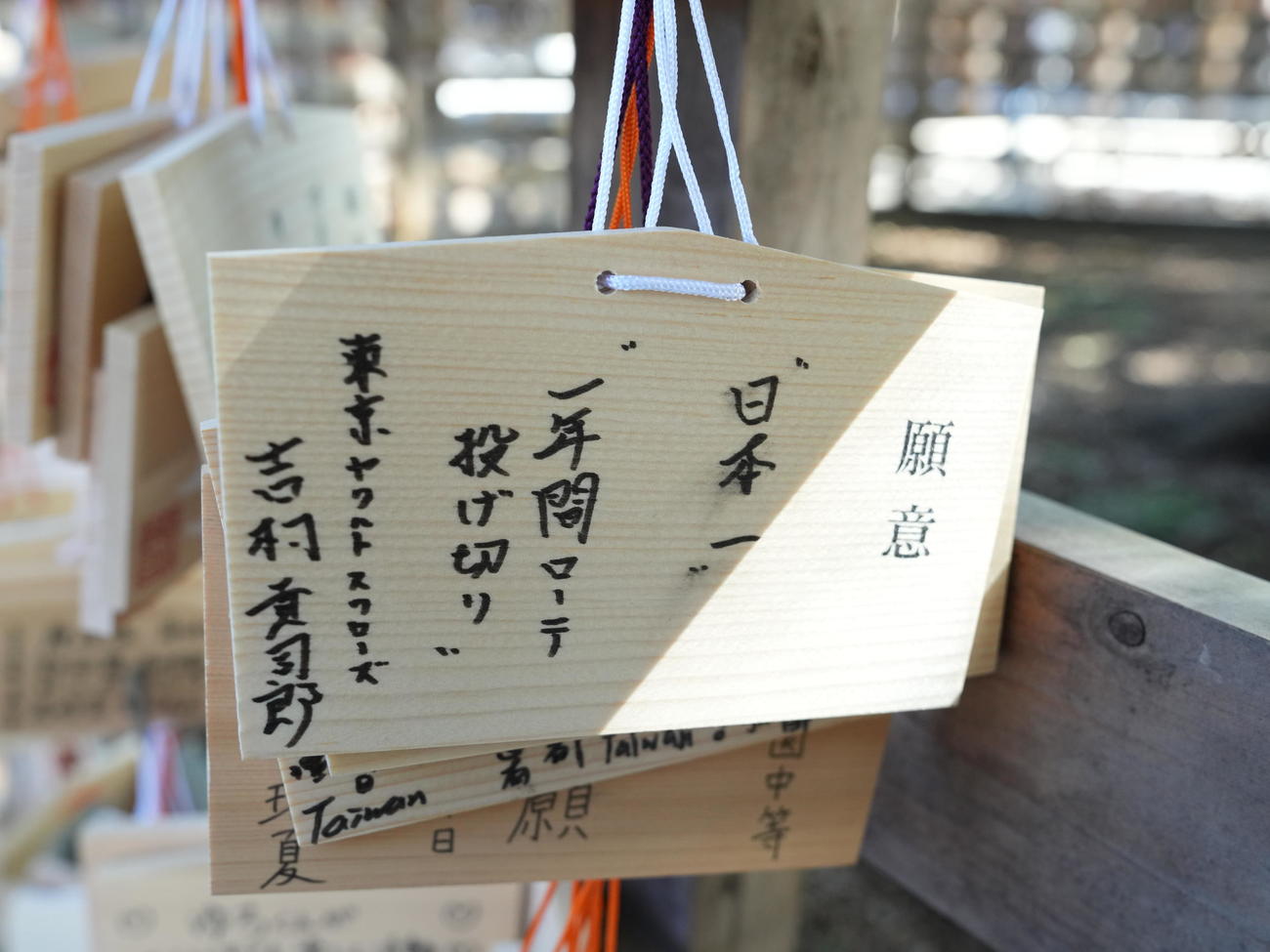 明治神宮での必勝祈願を終え奉納されたヤクルト吉村の絵馬（撮影・小沢裕）