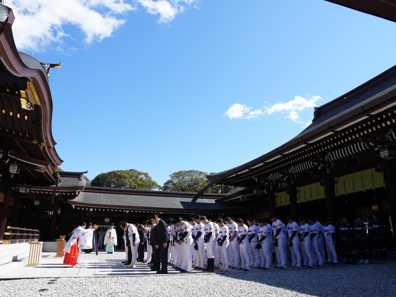 明治神宮で必勝祈願に臨むヤクルトナイン（撮影・小沢裕）
