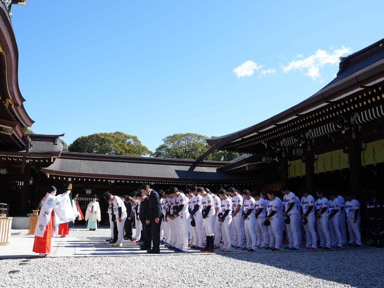 明治神宮で必勝祈願に臨むヤクルトナイン（撮影・小沢裕）