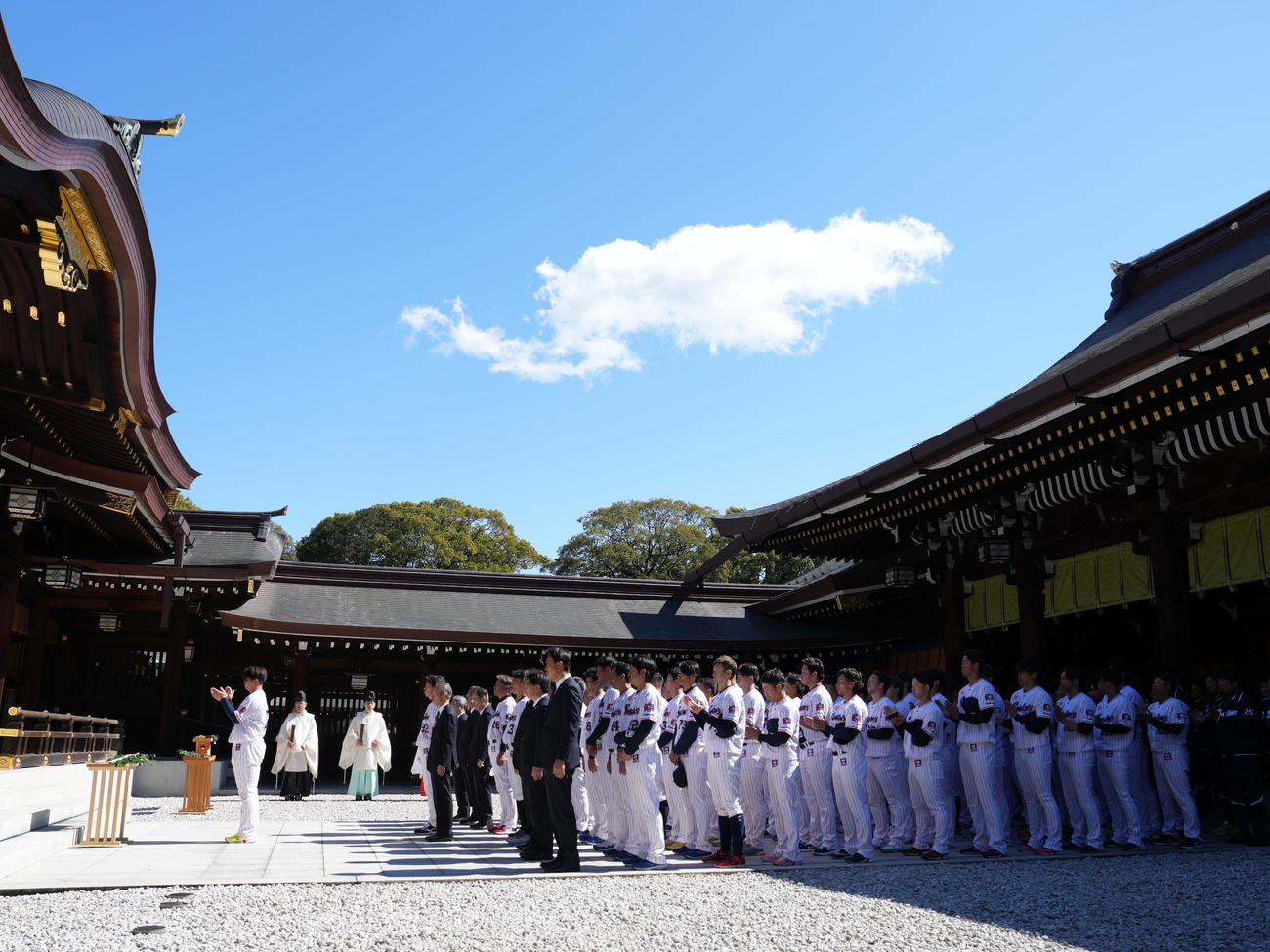 明治神宮で必勝祈願に臨むヤクルトナイン（撮影・小沢裕）