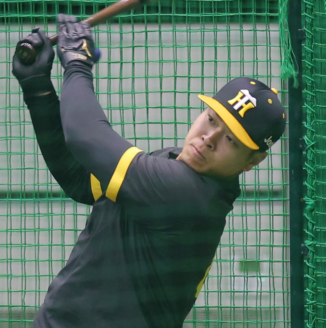 打撃練習を行う阪神佐藤輝（撮影・前田充）