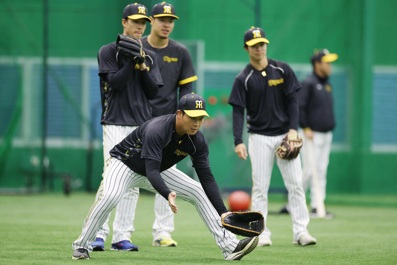 ノックを受ける阪神大山。後方は左から小幡、佐藤輝、中野（撮影・前田充）