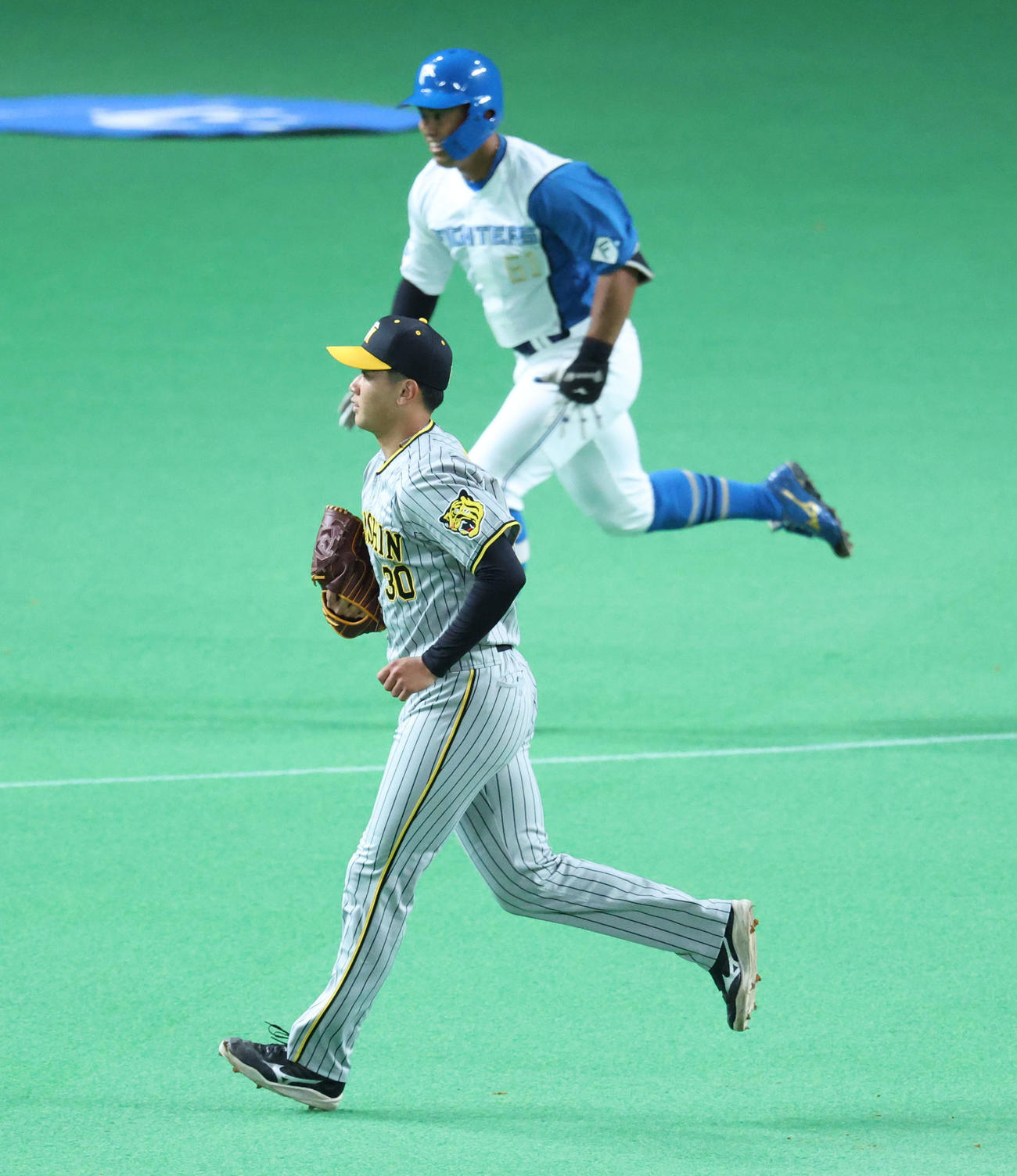日本ハム対阪神　1回裏日本ハム1死、今川を一飛に仕留める門別（撮影・佐藤翔太）