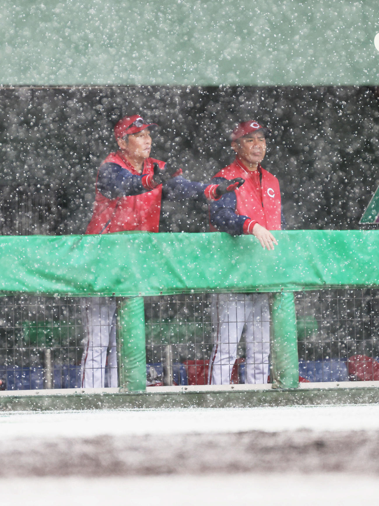 楽天対広島　5回裏楽天、広島2番手ドラフト3位の滝田が投球練習中、降雪のため試合が中断。雪の感触を確かめる新井監督（左）（撮影・加藤孝規）