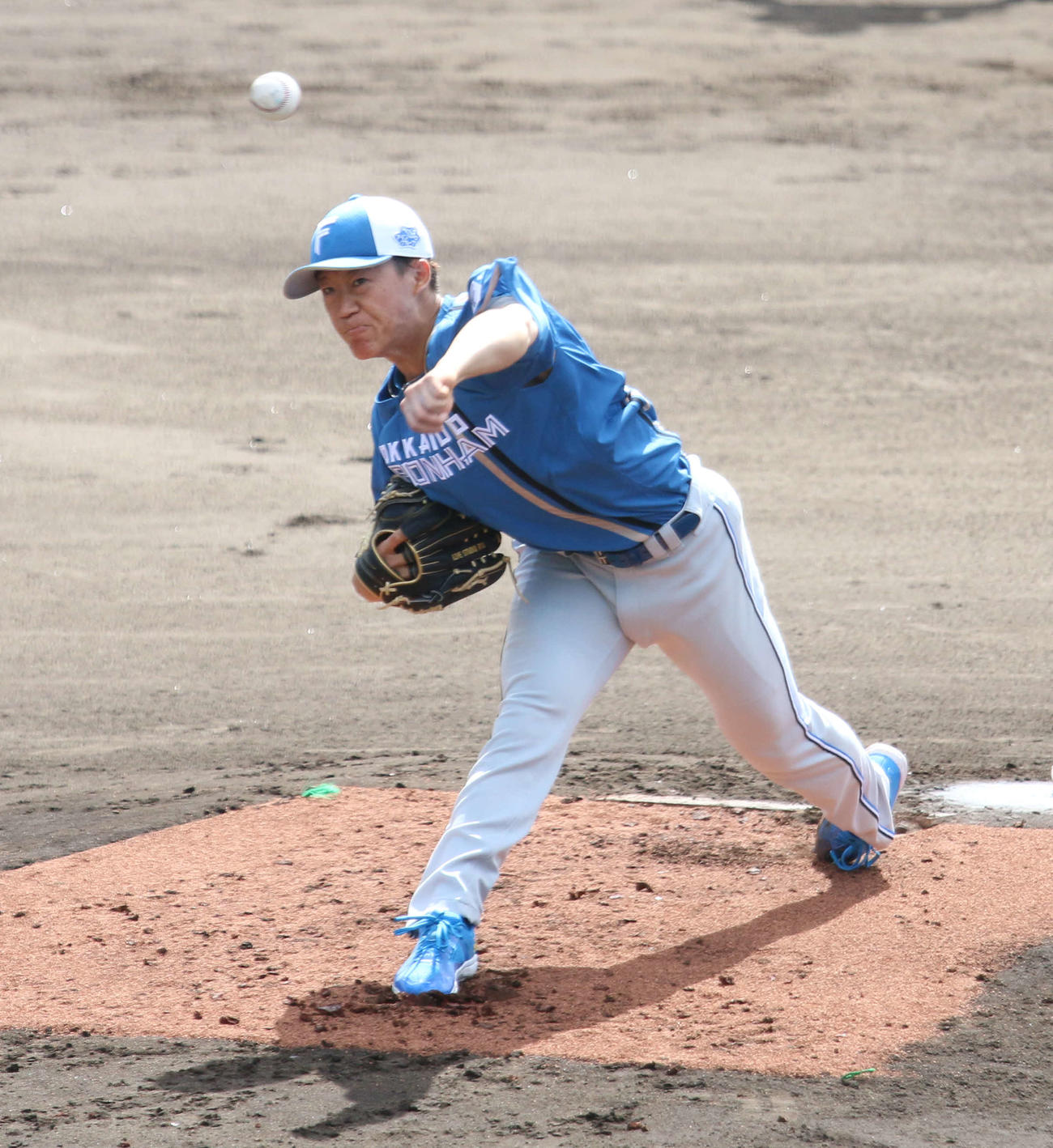 日本ハム矢沢宏太（2024年2月撮影）