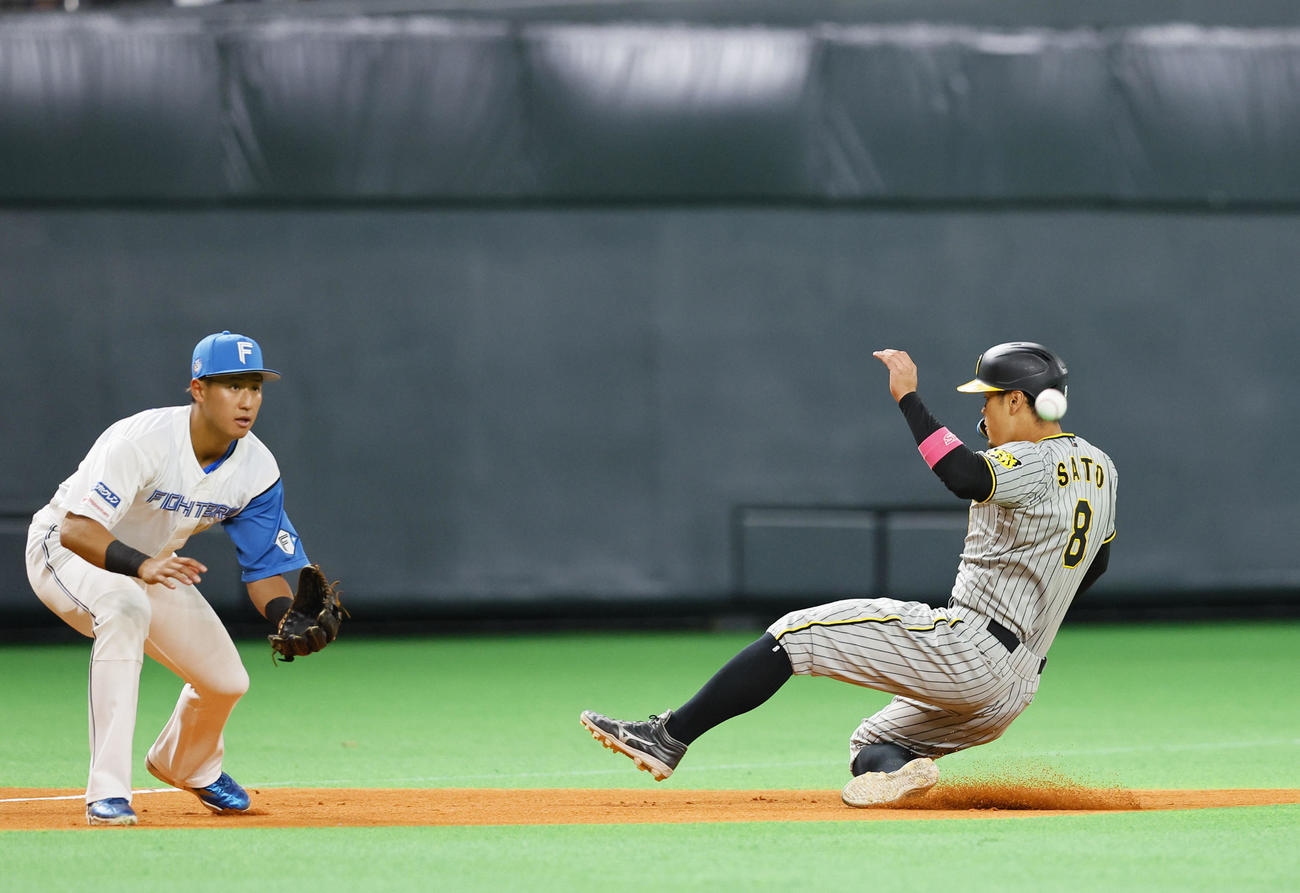 日本ハム対阪神　6回表阪神1死二塁、森下の一邪飛で三塁へ進む佐藤輝。野手阪口（撮影・藤尾明華）