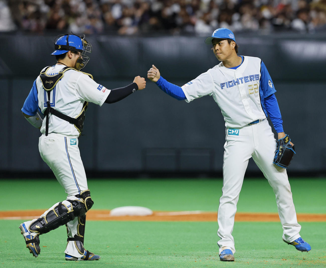 日本ハム対阪神　9回を抑え清水（左）とタッチを交わす杉浦（撮影・藤尾明華）