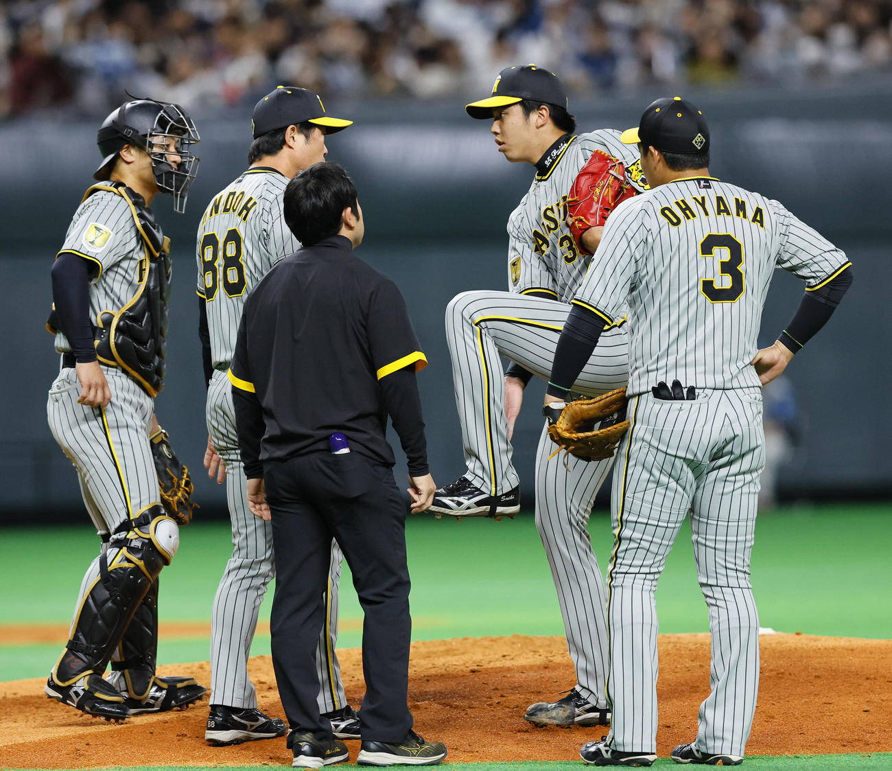 日本ハム対阪神　3回裏日本ハム2死、伏見の打球を左足に受け、安藤投手コーチ　（左から2人目）らと話をする阪神才木（撮影・藤尾明華）