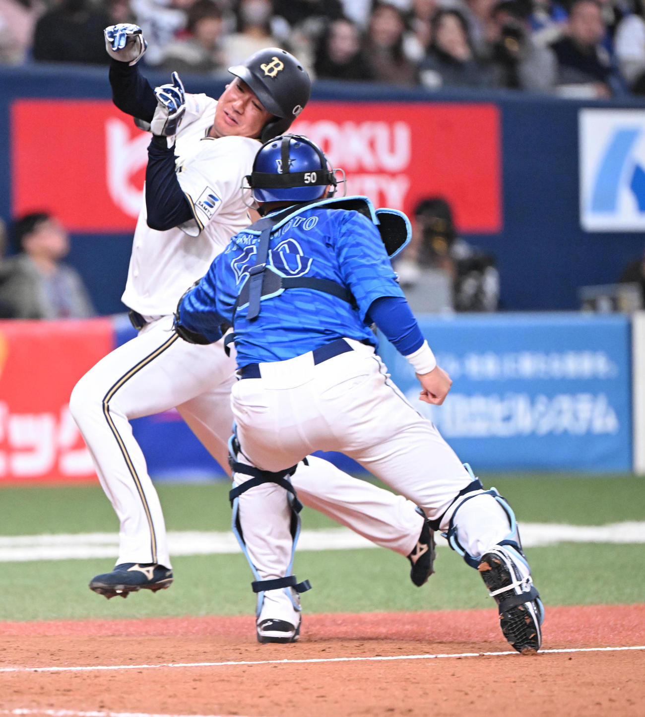 オリックス対DeNA 5回裏オリックス1死一、二塁、セデーニョの右前打を捕球し素早く本塁で二塁走者大城を本塁補殺する右翼手度会（撮影・和賀正仁）
