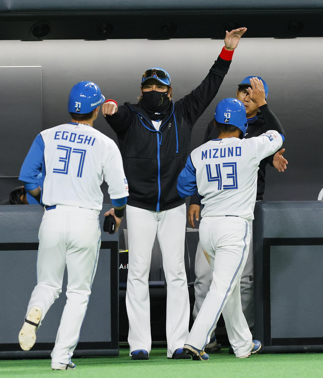 日本ハム対阪神　7回裏日本ハム2死二、三塁、郡司の2点適時打で生還した水野らを出迎える新庄剛志監督（撮影・藤尾明華）