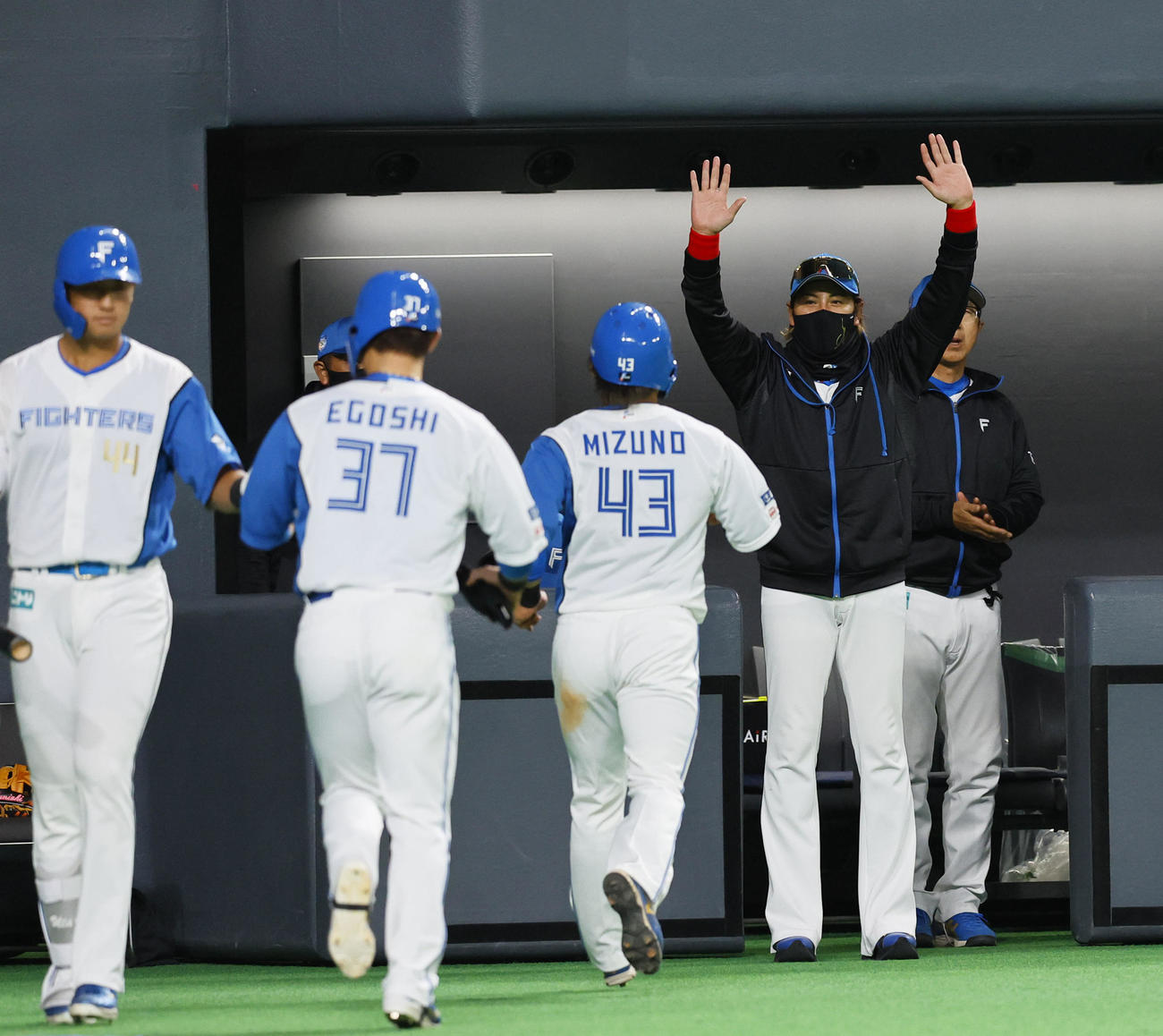 日本ハム対阪神　7回裏日本ハム2死二、三塁、郡司の2点適時打で生還した水野らを迎える新庄監督（撮影・藤尾明華）