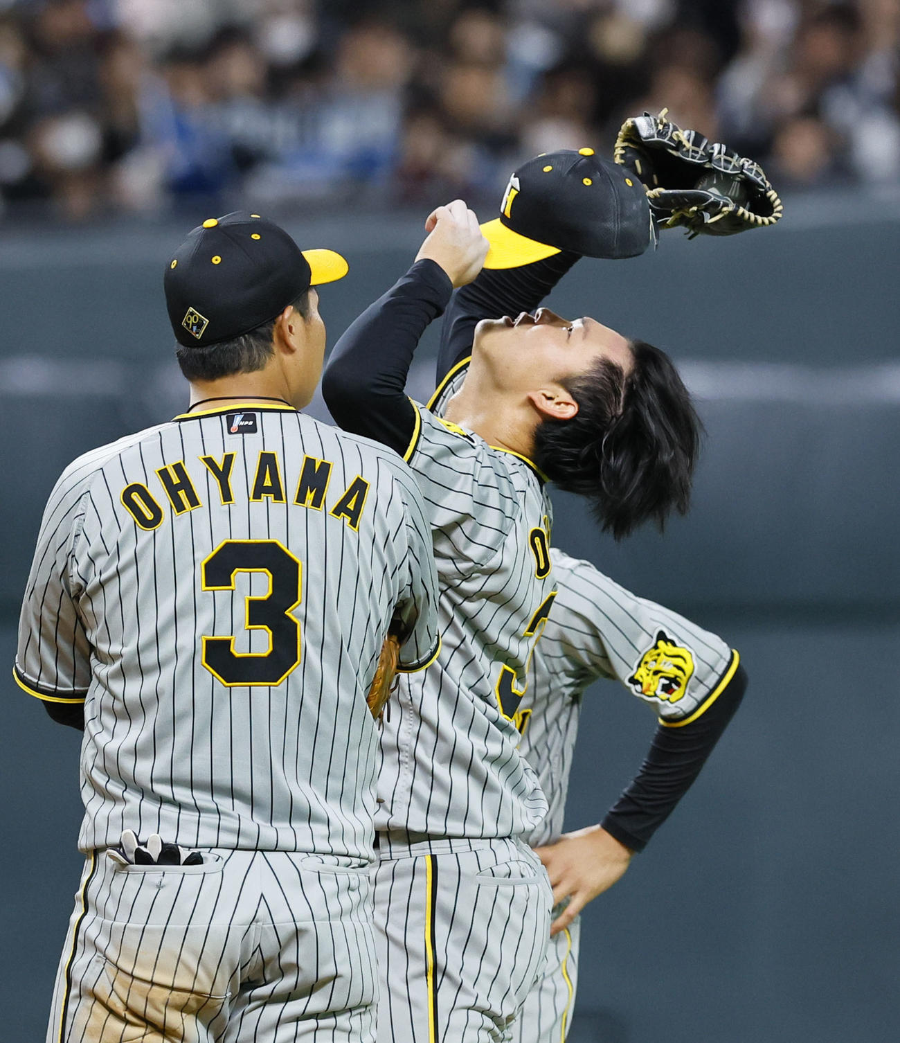日本ハム対阪神　7回裏日本ハム1死満塁、今川に2点適時打を許し帽子をかぶりなおす阪神及川（撮影・藤尾明華）