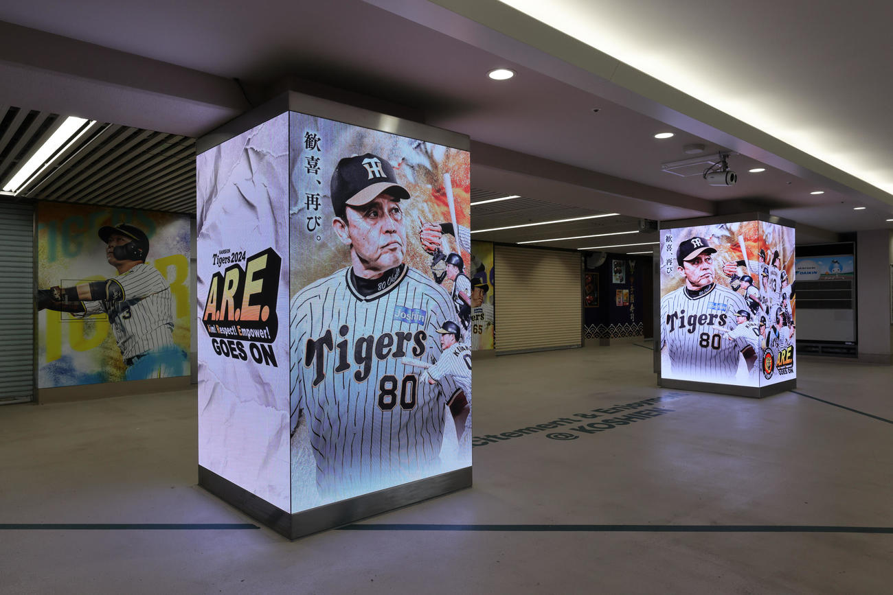 阪神甲子園球場に施された100周年オリジナルの演出や、連覇を目指すチームスローガン「A.R.E. GOES ON」の装飾（阪神甲子園球場提供）