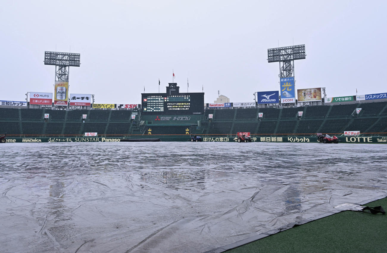 雨でグラウンドにシートが敷かれる甲子園（撮影・石井愛子）