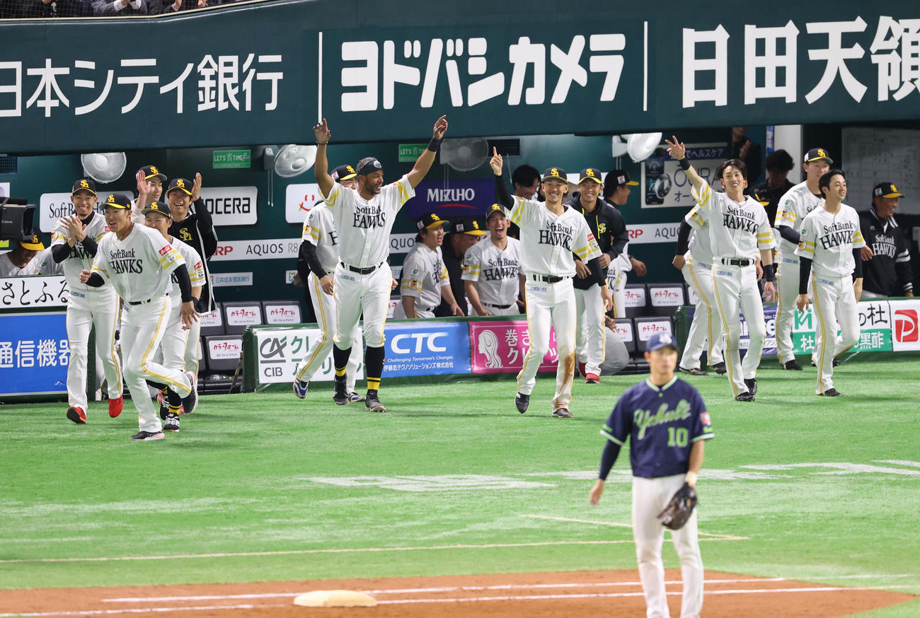 ソフトバンク対ヤクルト　9回裏ソフトバンク2死二、三塁、谷川原は右前にサヨナラ安打を放つ、喜ぶナイン（撮影・梅根麻紀）