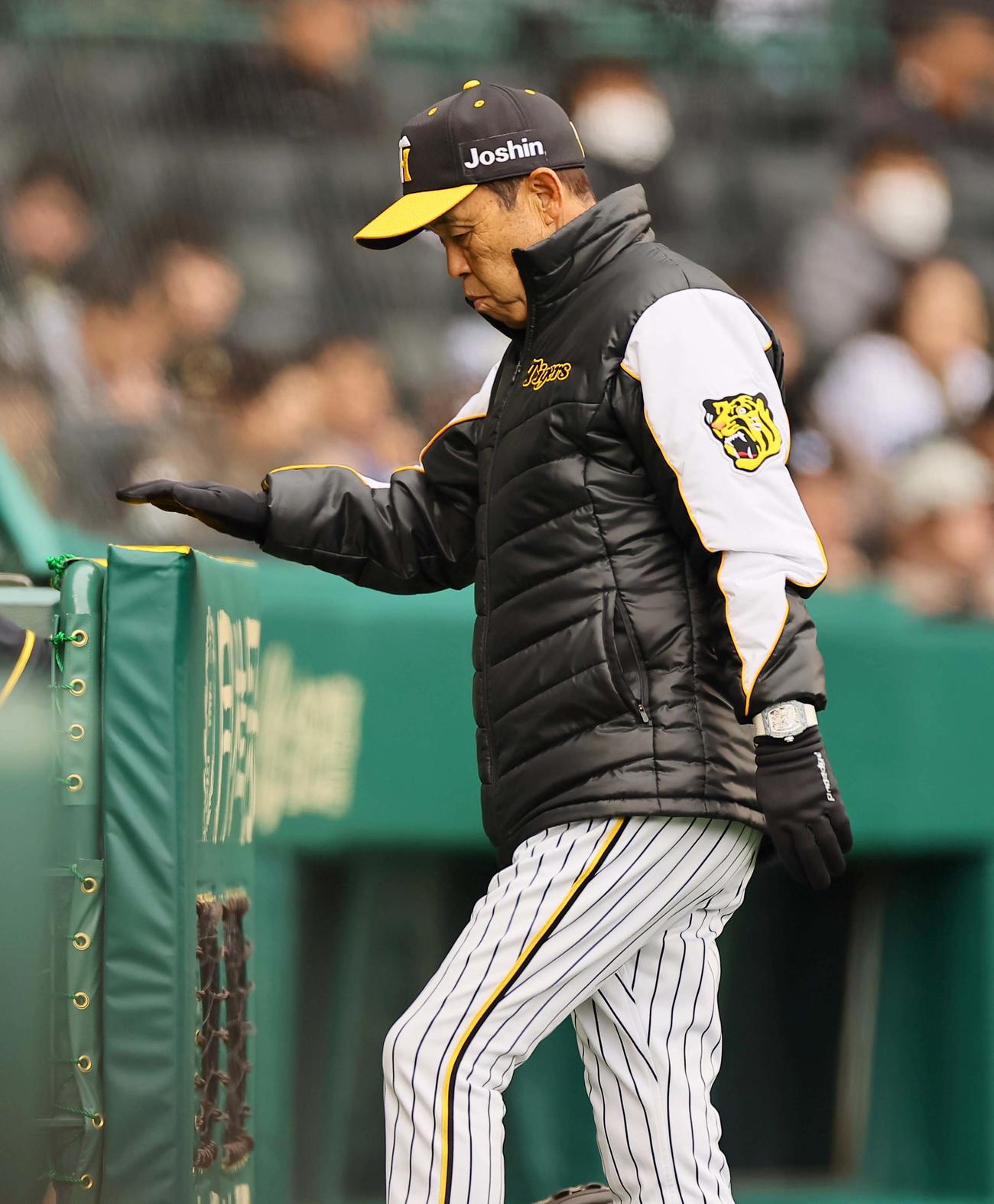 阪神対楽天オープン戦　選手交代を告げる岡田監督（撮影・上田博志）