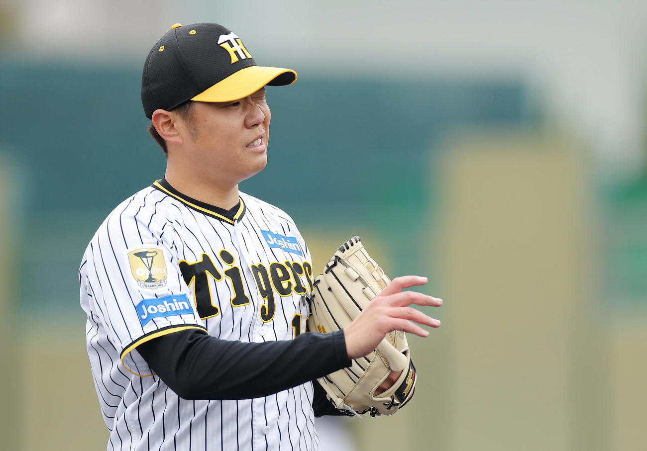 教育リーグのソフトバンク戦に先発し、力投した阪神西勇（撮影・前田充）