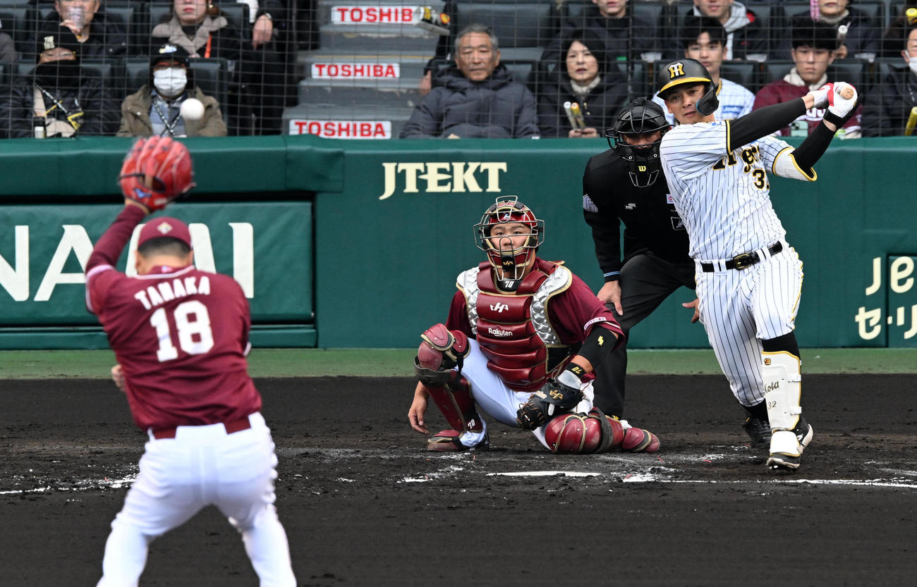 阪神対楽天　2回裏阪神2死一塁、井上は中前打を放つ。投手田中将（撮影・前岡正明）