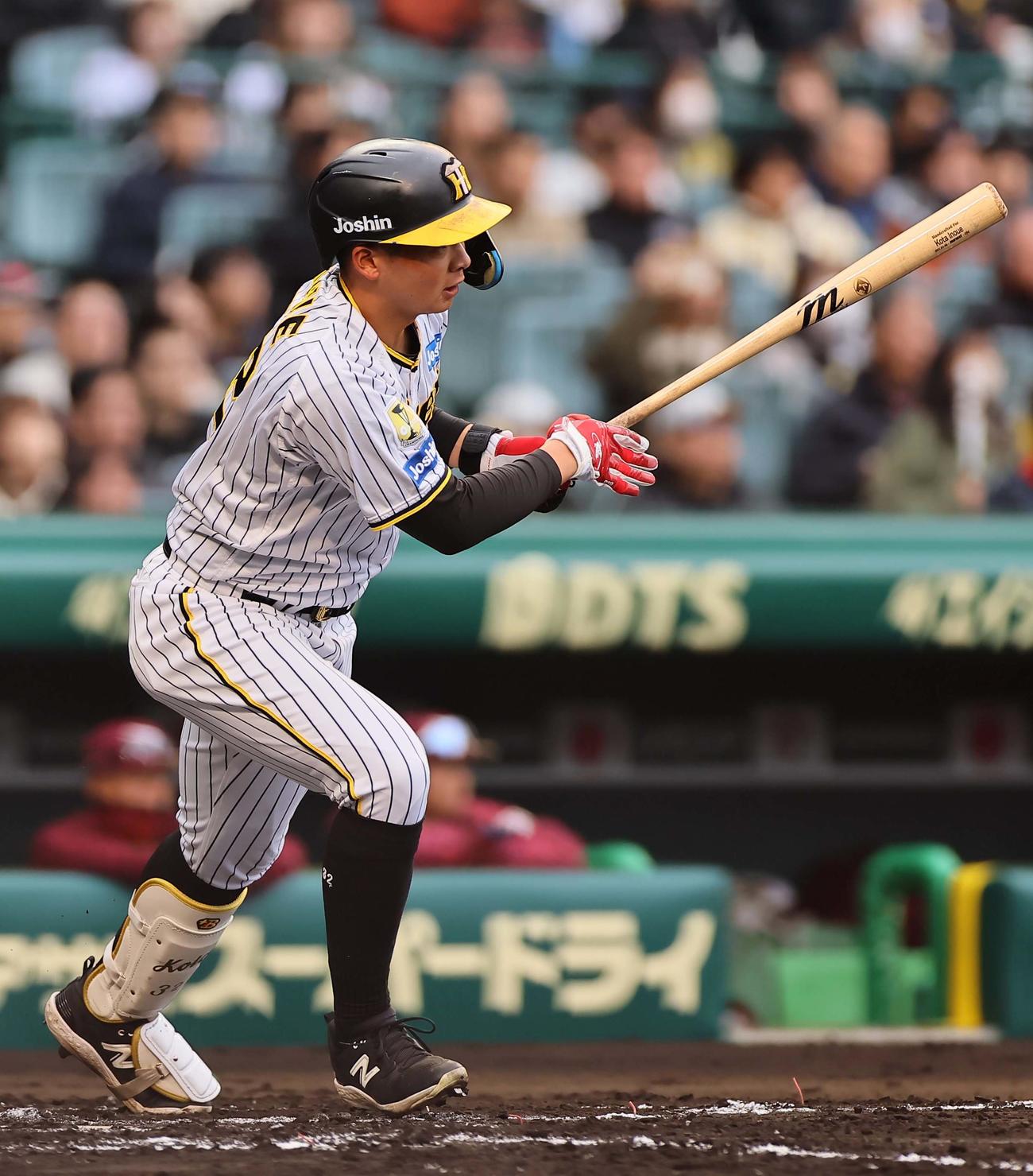 阪神対楽天オープン戦　2回裏阪神2死一塁、井上は中前打を放つ（撮影・上田博志）