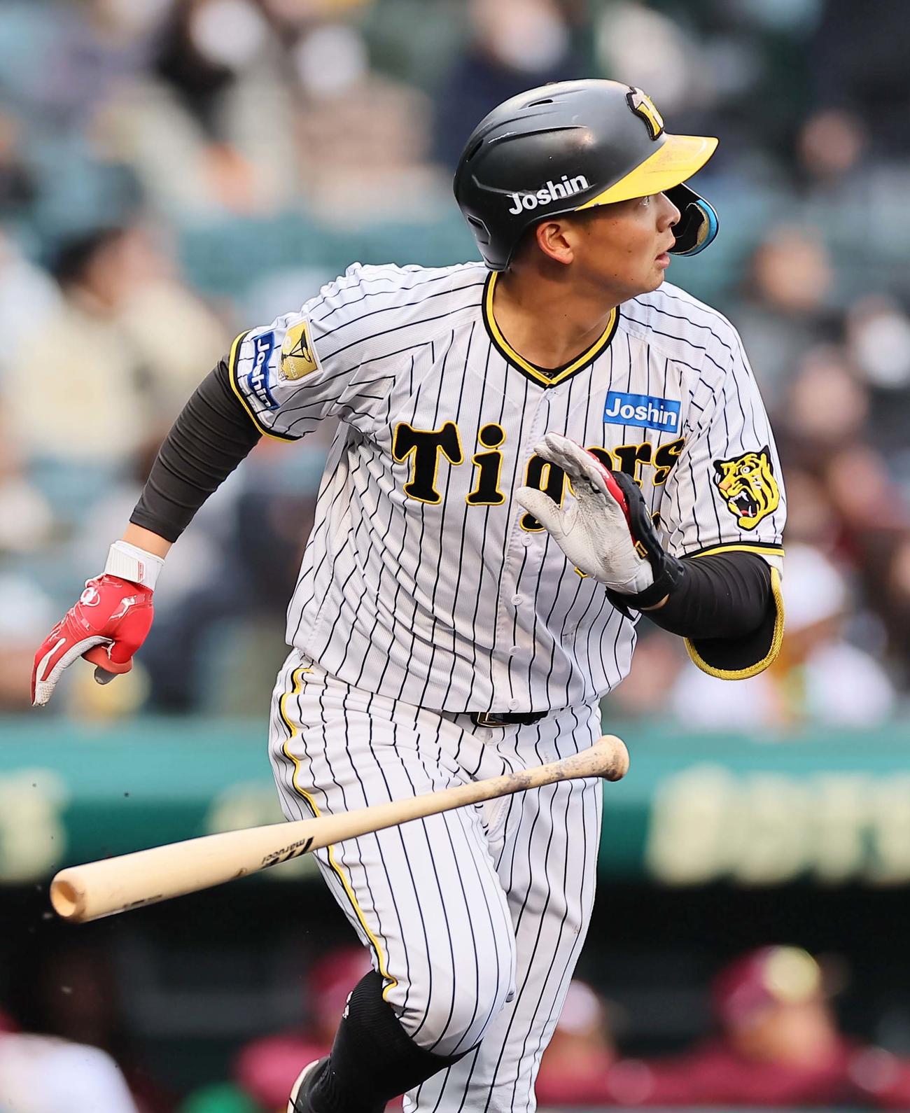 阪神対楽天オープン戦　7回裏阪神1死二塁、左へ適時二塁打を放つ井上（撮影・上田博志）