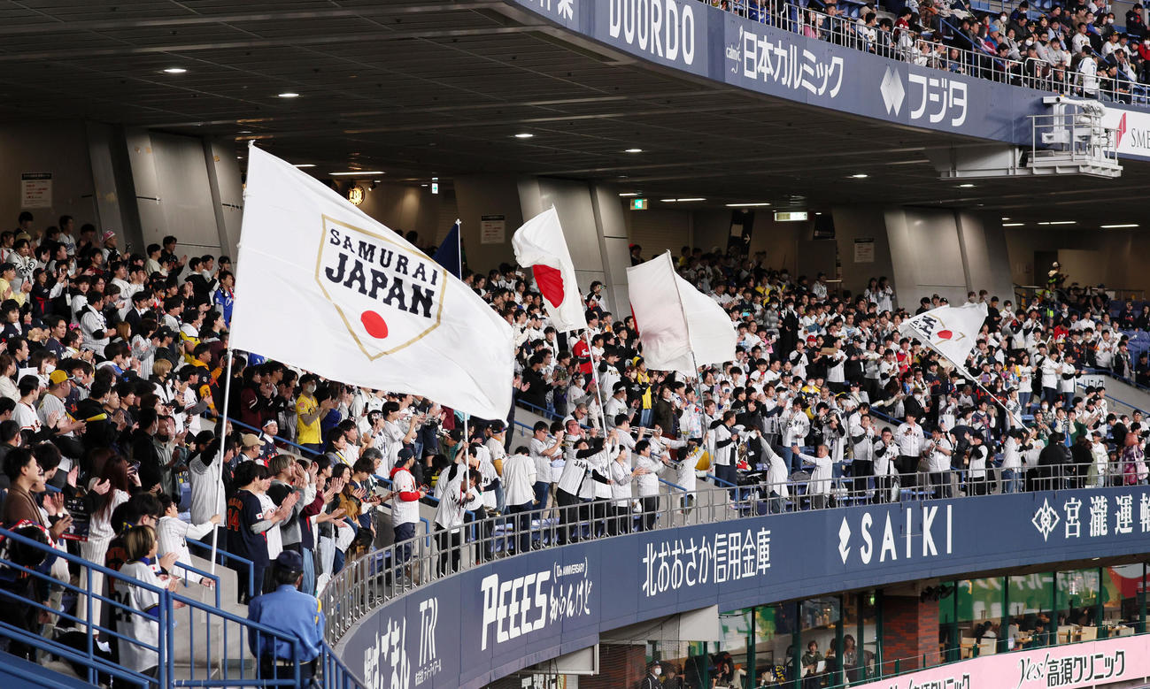 侍ジャパン対欧州代表　声援を送る侍ジャパンファン（撮影・加藤哉）