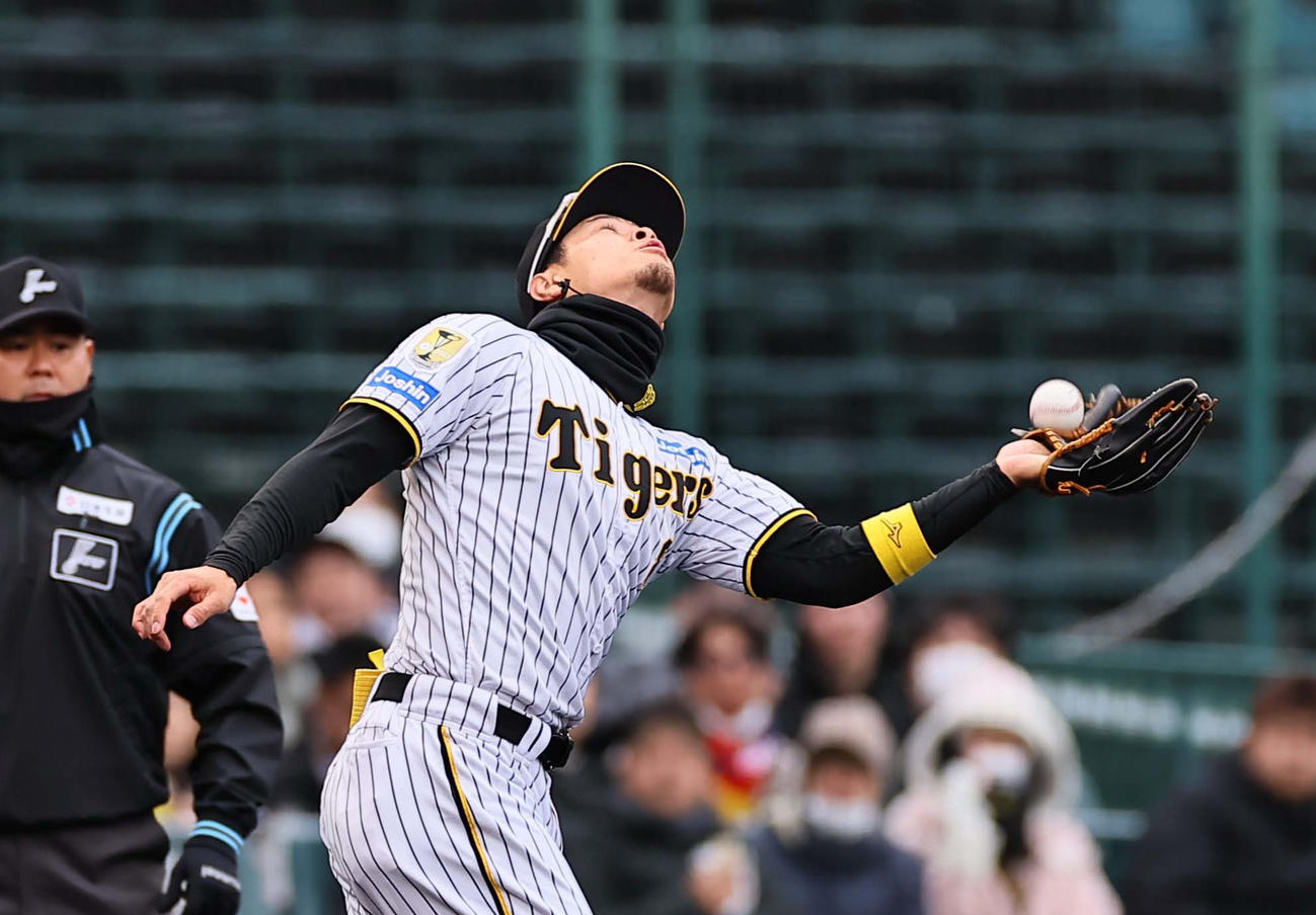 阪神対楽天　2回表楽天無死、佐藤輝は阿部の飛球を落とす（撮影・上田博志）