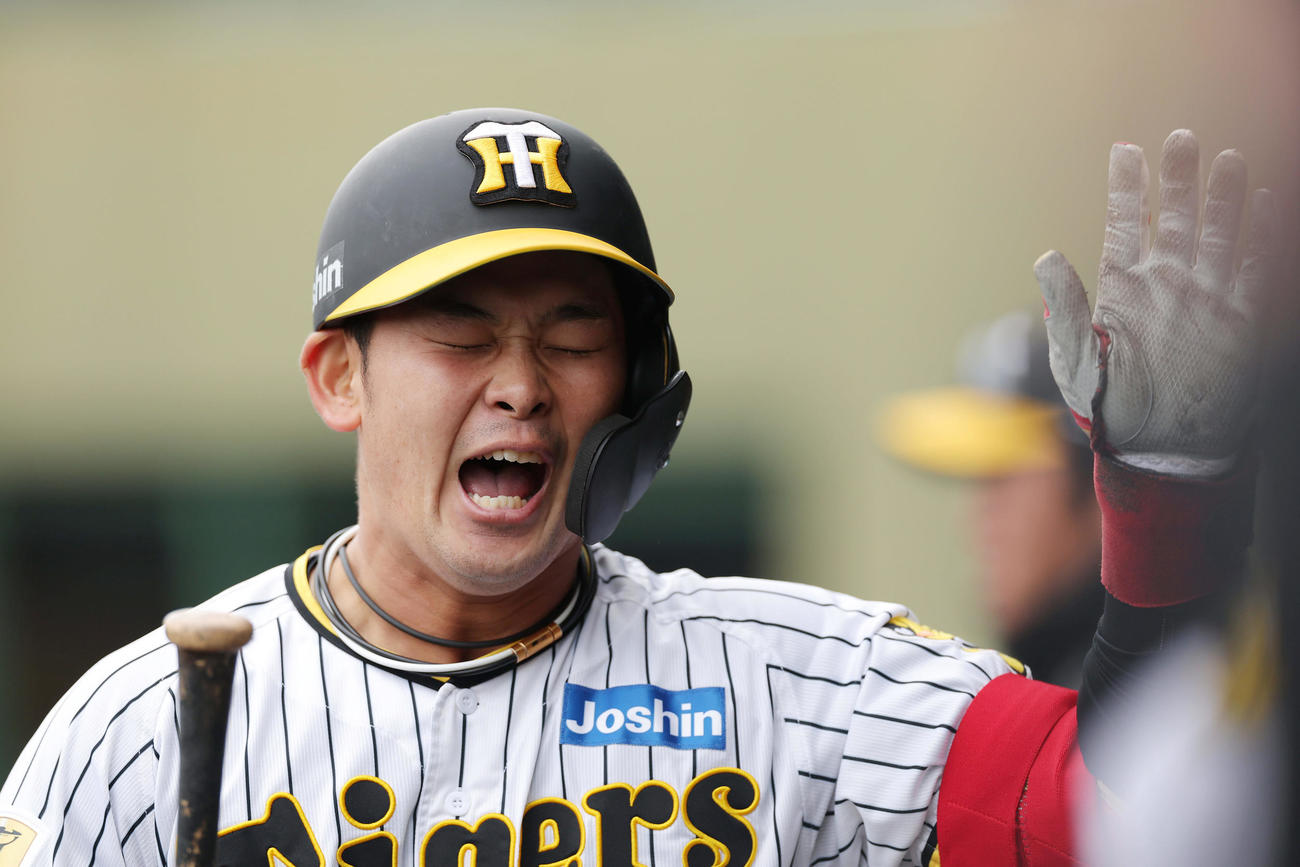 教育リーグのソフトバンク戦で左越え本塁打を放ち、ナインに迎えられる阪神野口（撮影・前田充）
