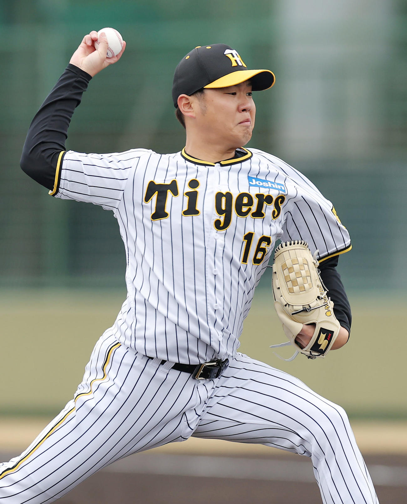 教育リーグのソフトバンク戦に先発し、力投する阪神西勇（撮影・前田充）