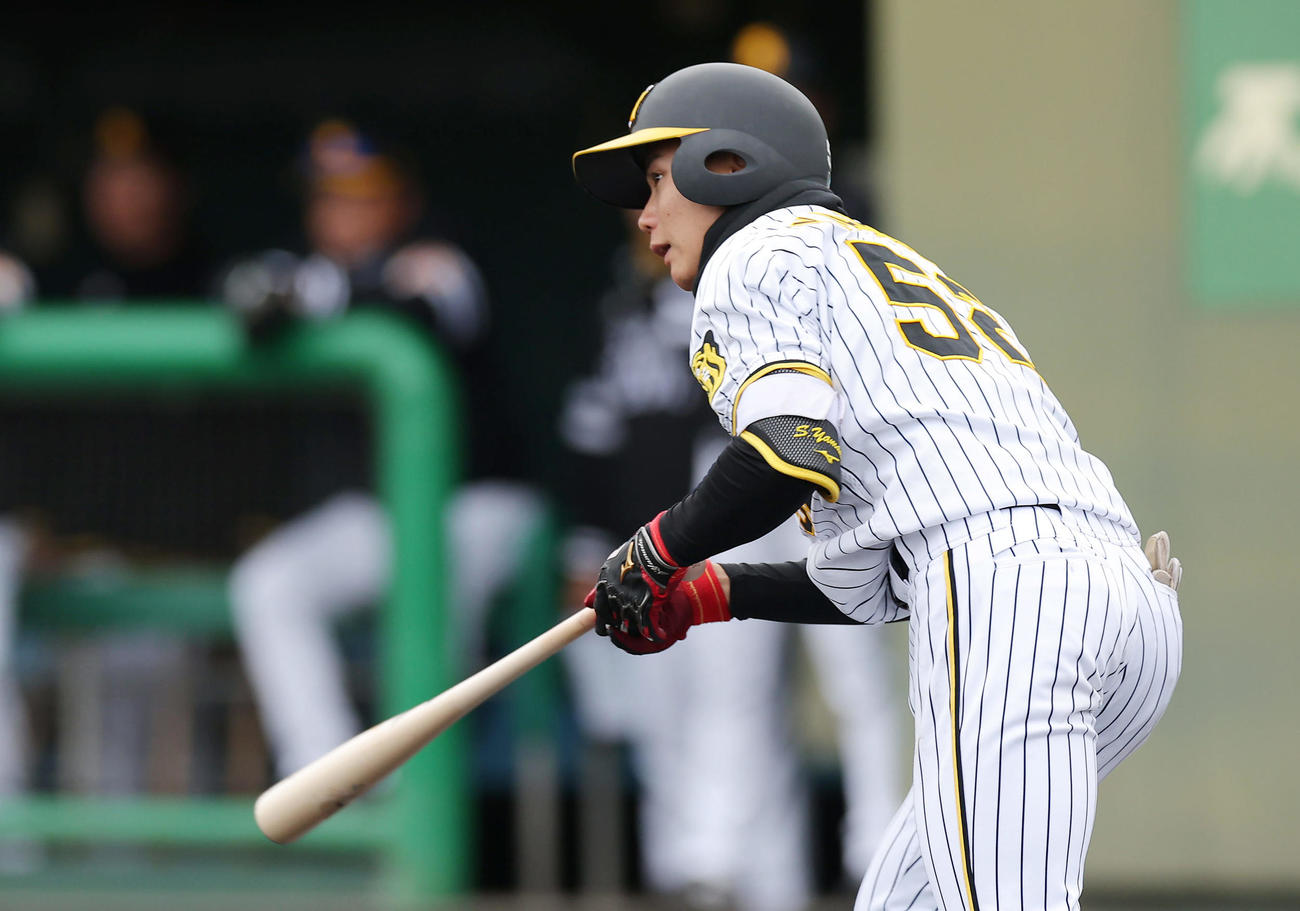 教育リーグのソフトバンク戦で左前打を放つ阪神山田（撮影・前田充）