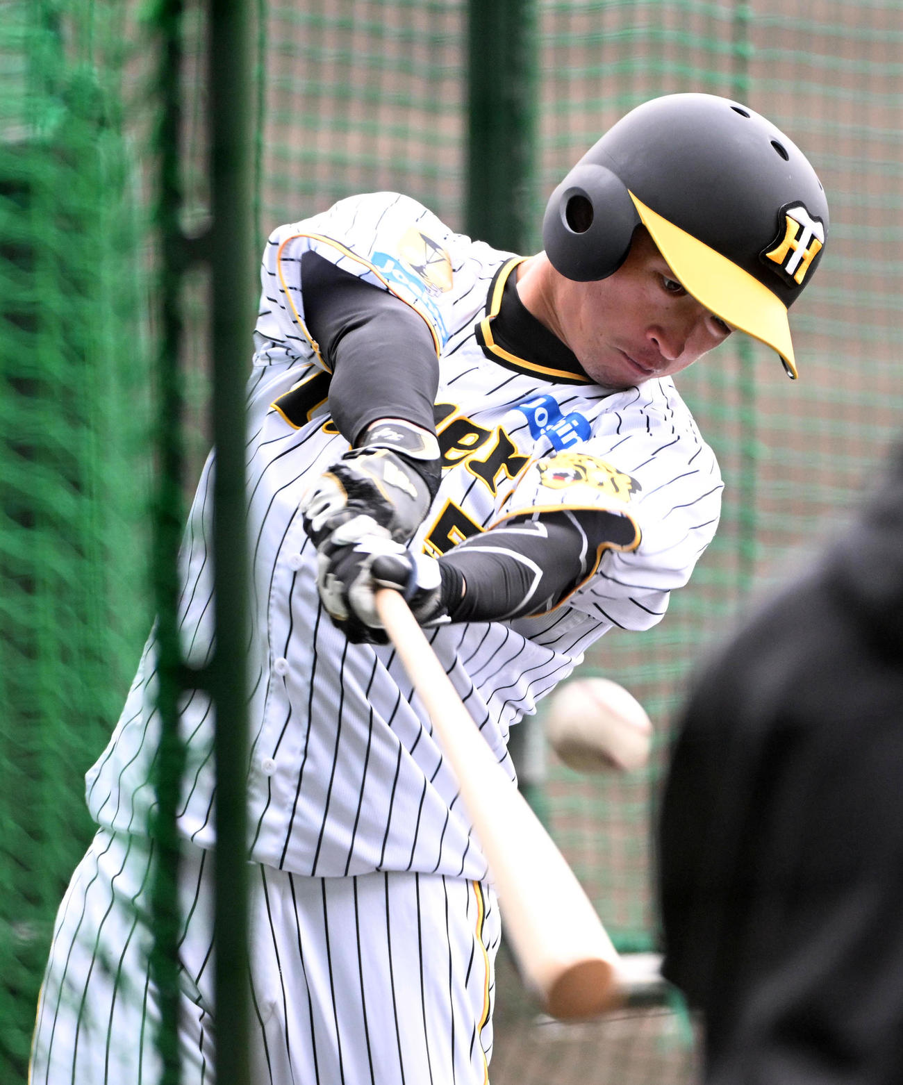 ティー打撃を行う近本（撮影・前岡正明）