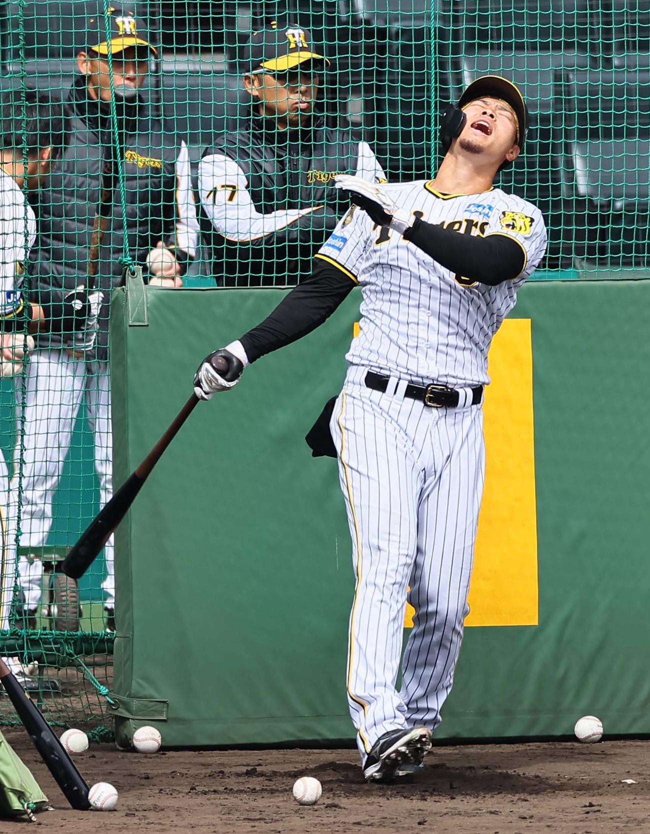フリー打撃練習をする佐藤輝（撮影・上田博志）