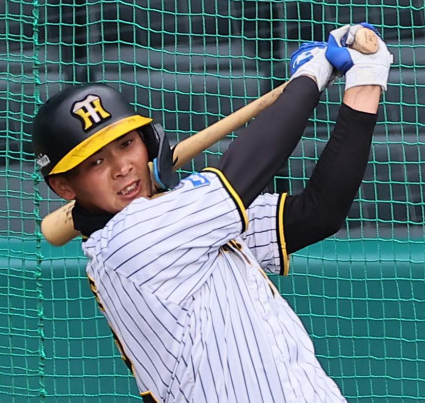 フリー打撃練習をする井上（撮影・上田博志）