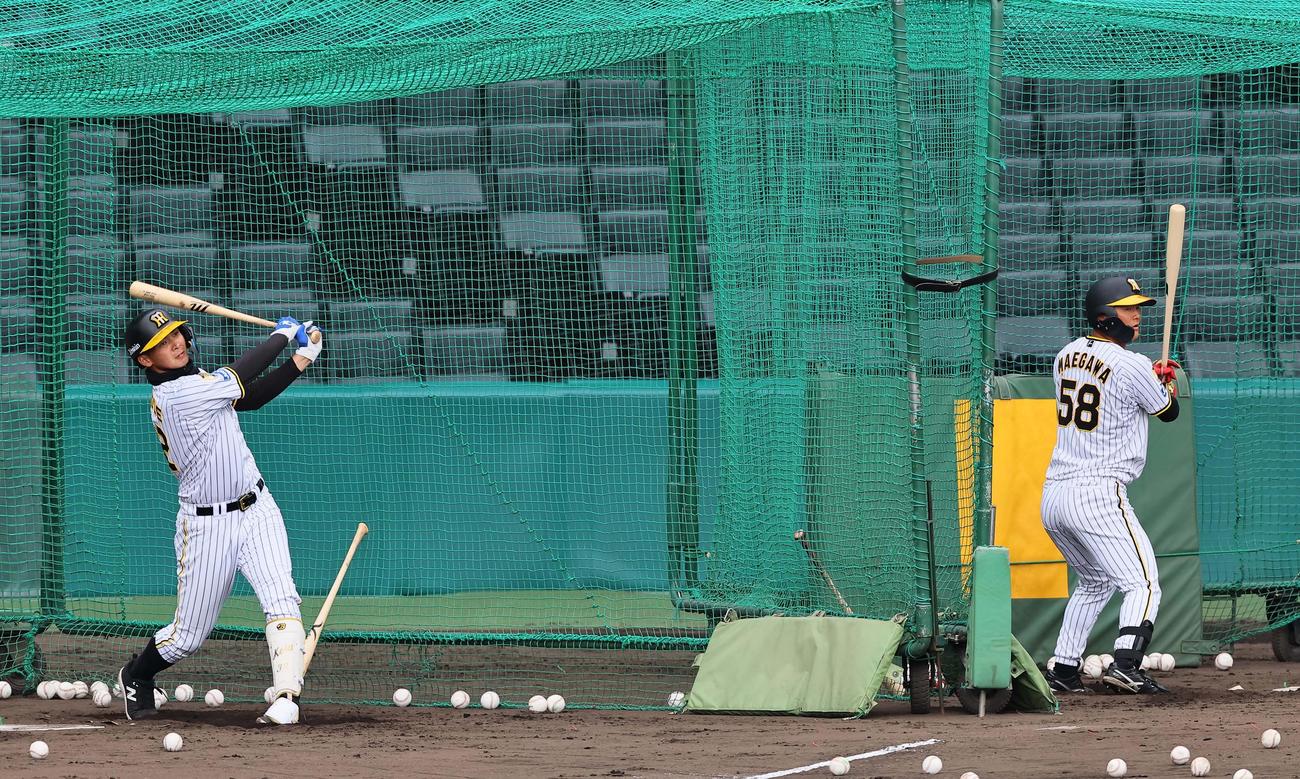 フリー打撃練習をする井上（左）と前川（撮影・上田博志）