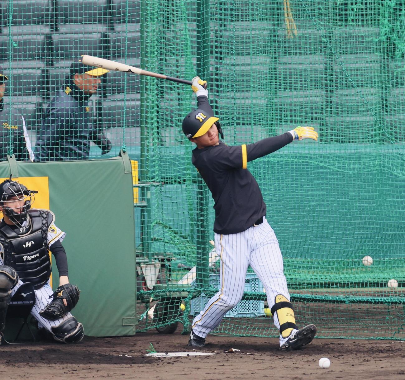 欧州戦から一夜明けてチームに合流し打撃練習する森下（撮影・加藤哉）