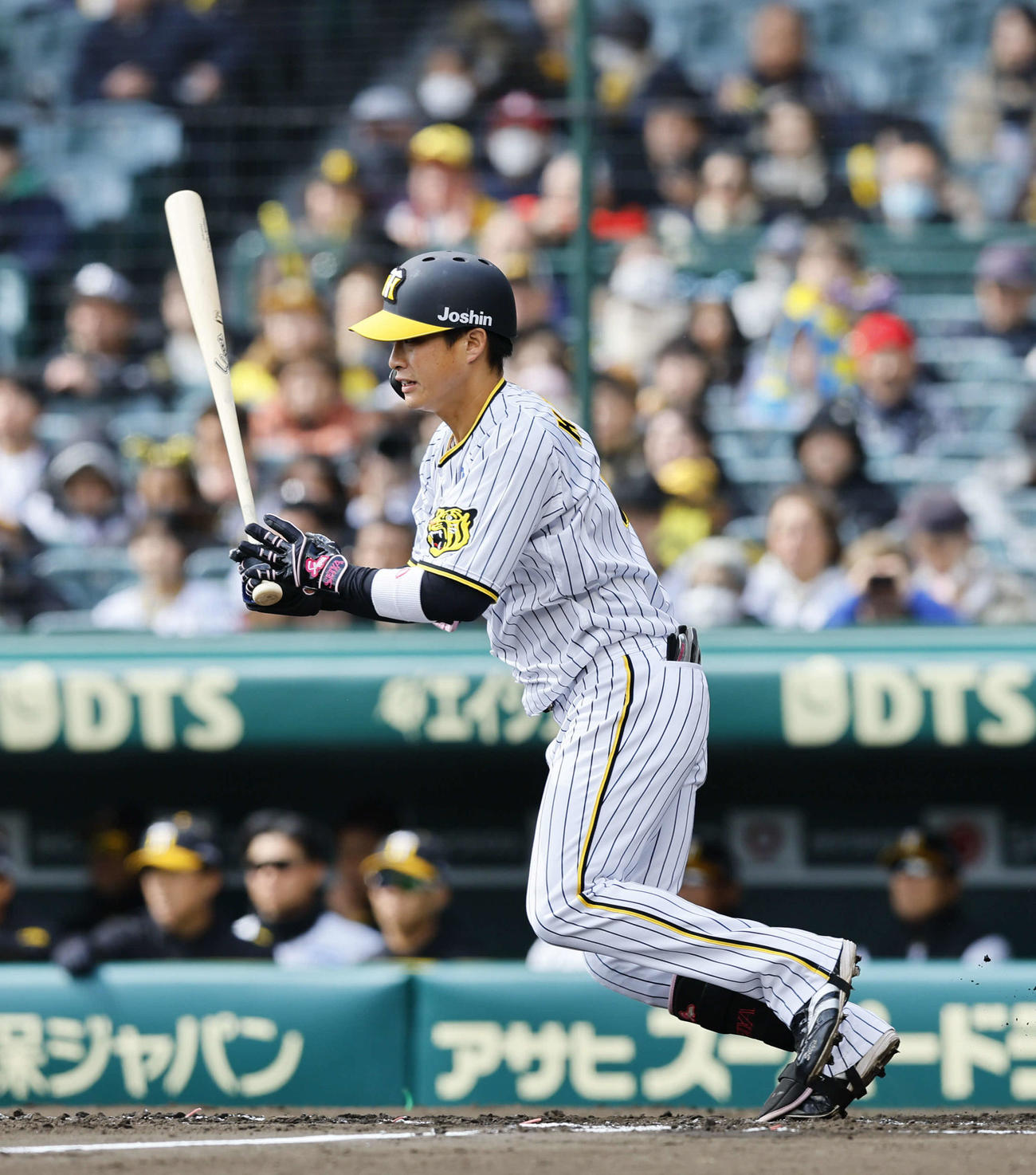 阪神対ヤクルト　2回裏阪神1死、木浪は右前打を放つ（撮影・藤尾明華）