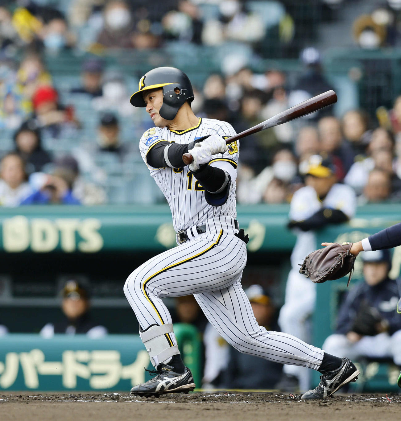 阪神対ヤクルト　2回裏阪神1死一塁、坂本誠志郎は遊ゴロ内野安打を放つ（撮影・藤尾明華）