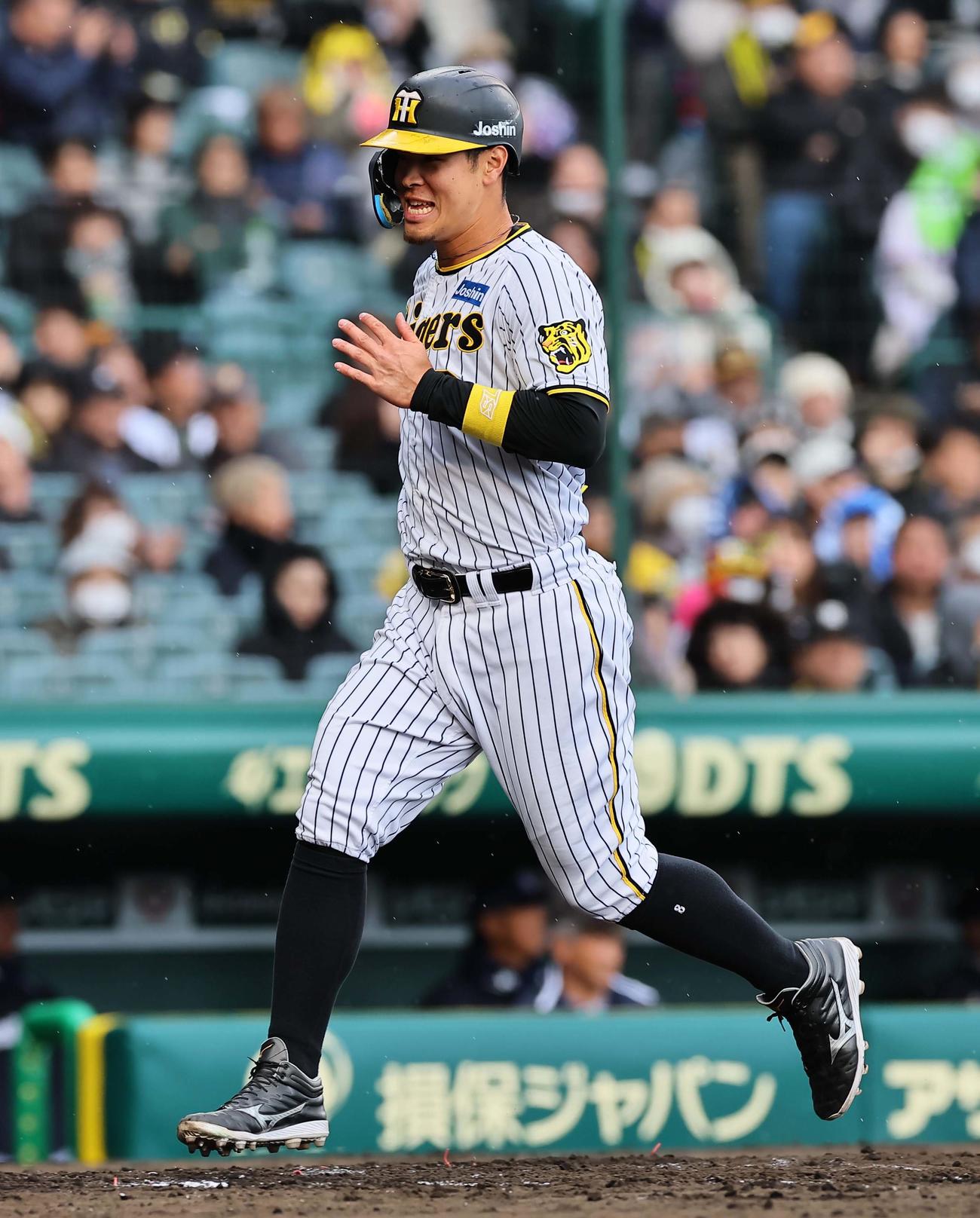 阪神対ヤクルト　3回裏阪神無死一、二塁、佐藤輝は井上の適時打で生還する（撮影・上田博志）