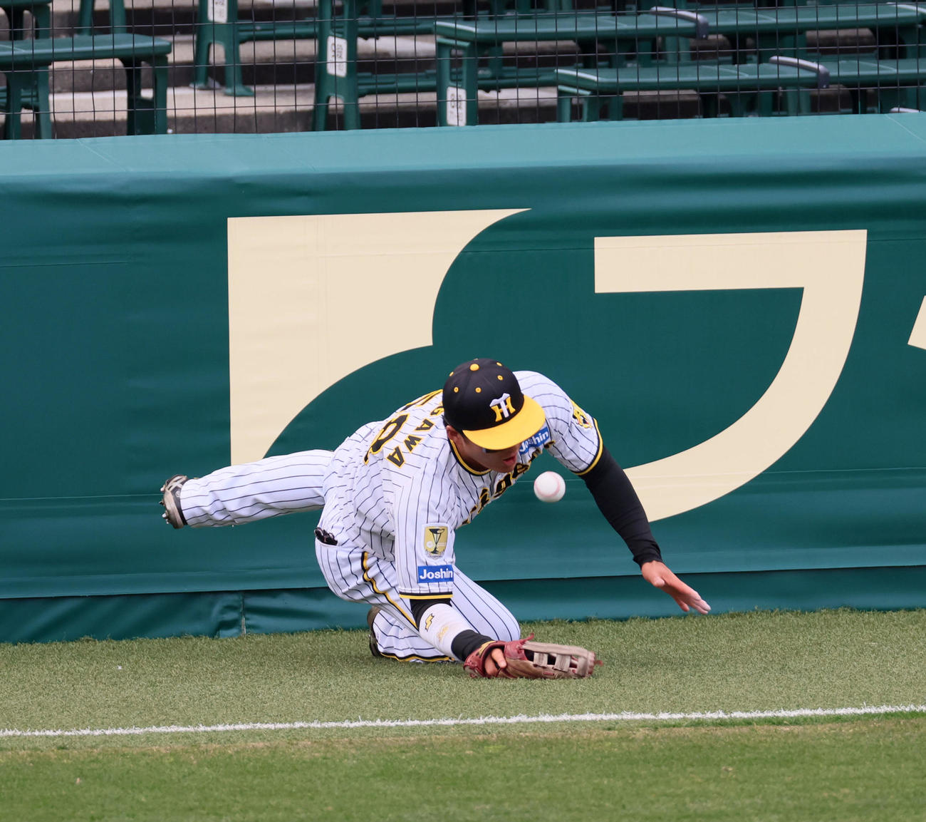 阪神対ヤクルト　8回表ヤクルト2死一塁、増田の右邪飛を捕球出来無い前川（撮影・加藤哉）