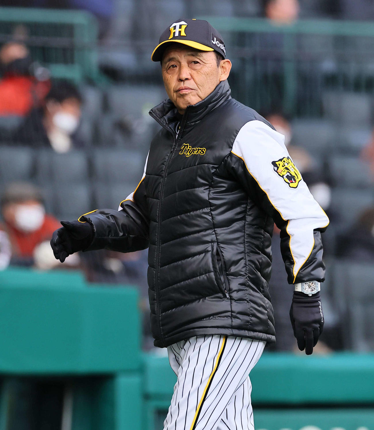 阪神対ヤクルト　選手交代を告げる岡田監督（撮影・上田博志）
