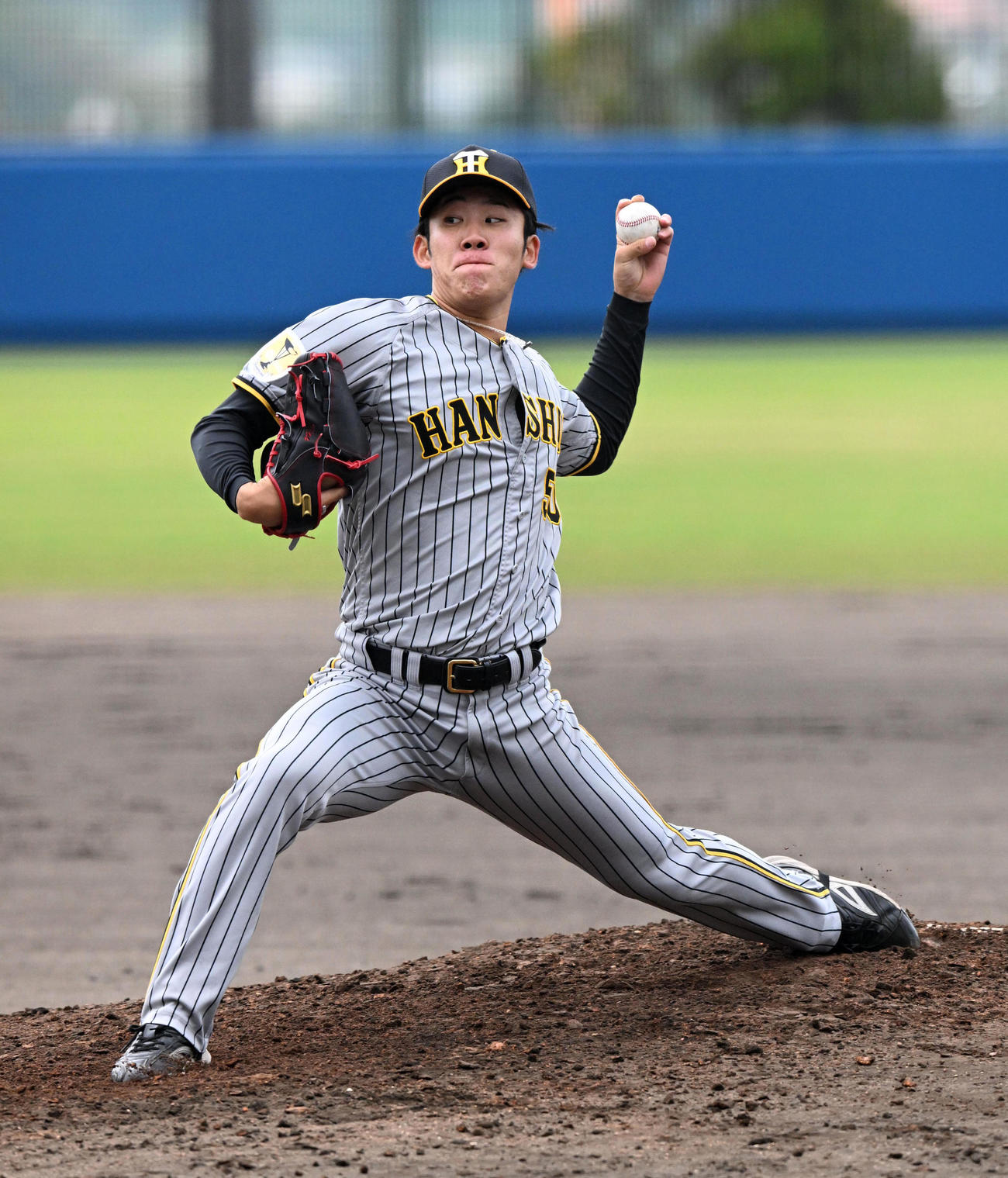 阪神富田蓮（2024年2月撮影）