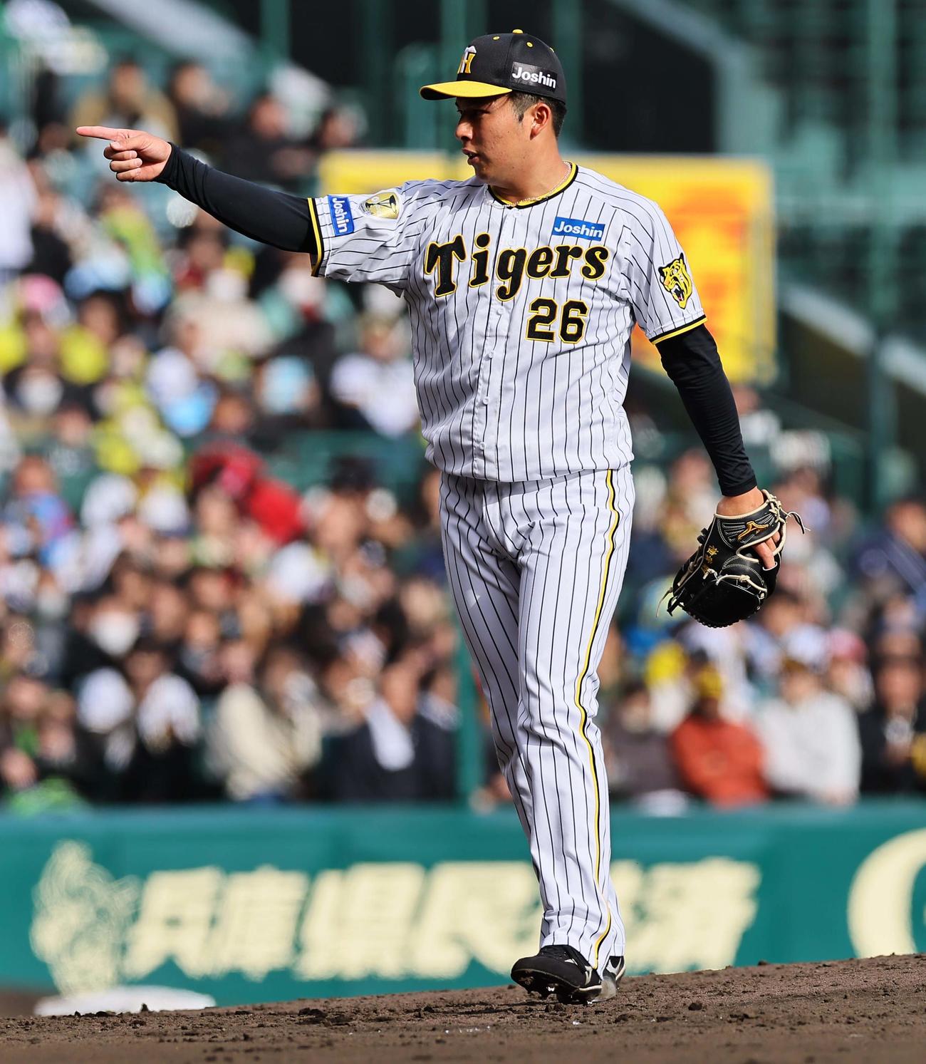 阪神対ヤクルト　阪神4番手の椎葉（撮影・上田博志）