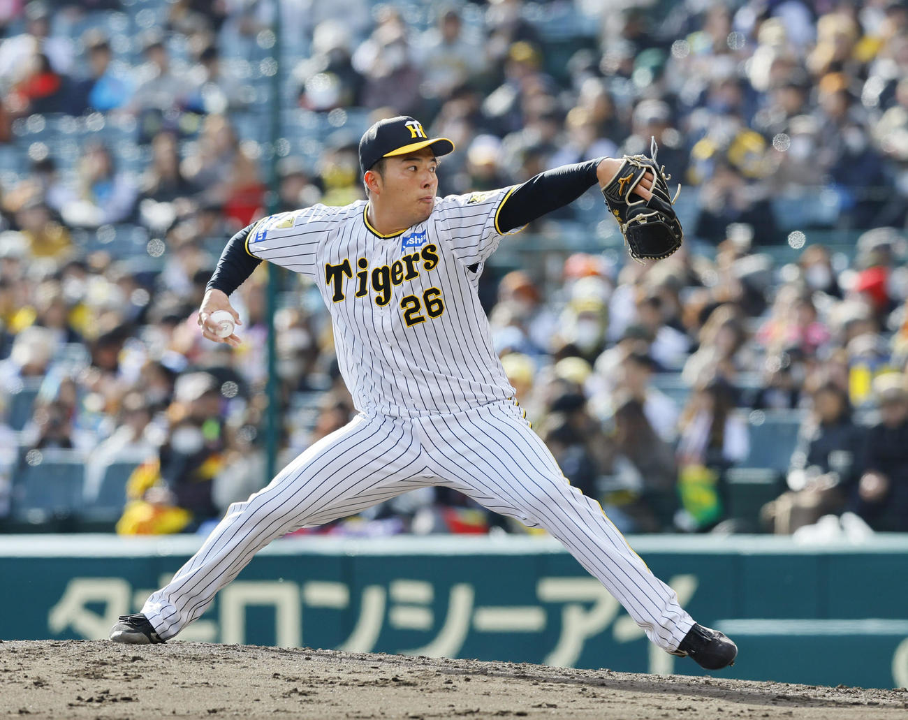 阪神対ヤクルト　7回、4番手で登板した阪神椎葉（撮影・藤尾明華）