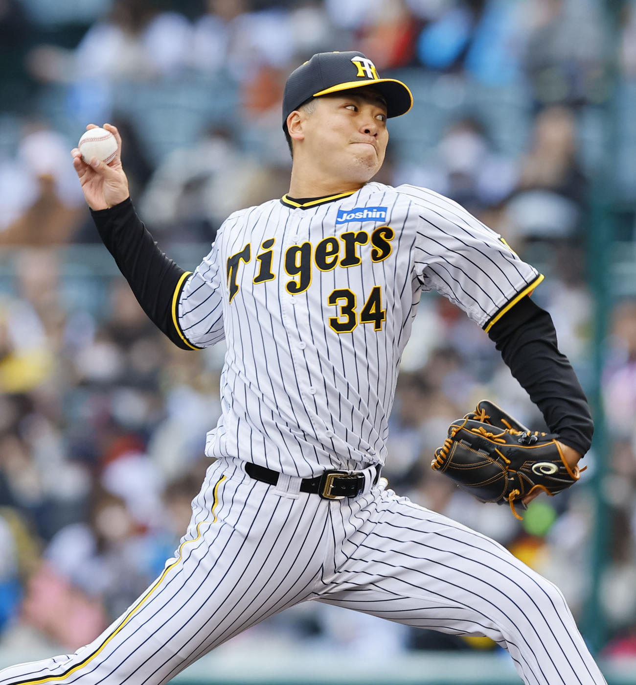阪神対ヤクルト　5回、2番手で登板した阪神漆原（撮影・藤尾明華）