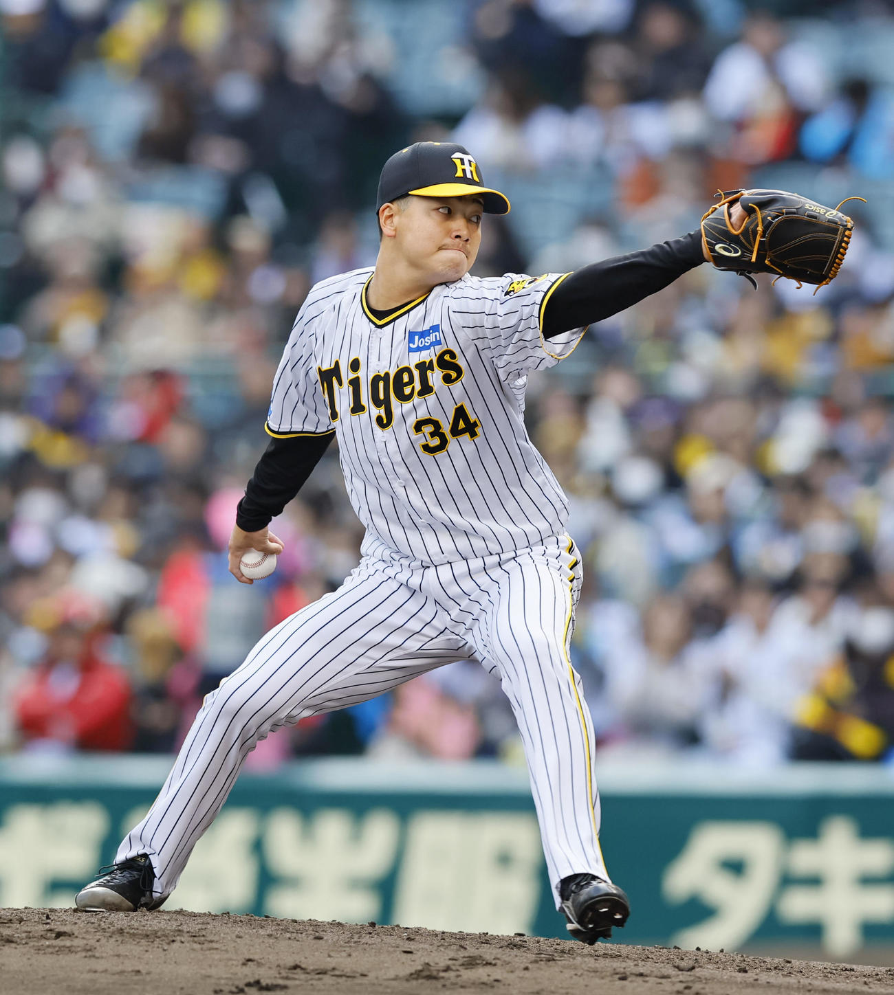 阪神対ヤクルト　5回、2番手で登板した阪神漆原（撮影・藤尾明華）