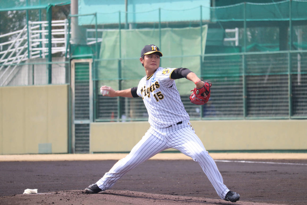 教育リーグ中日戦に先発した阪神西純矢投手（撮影・波部俊之介）