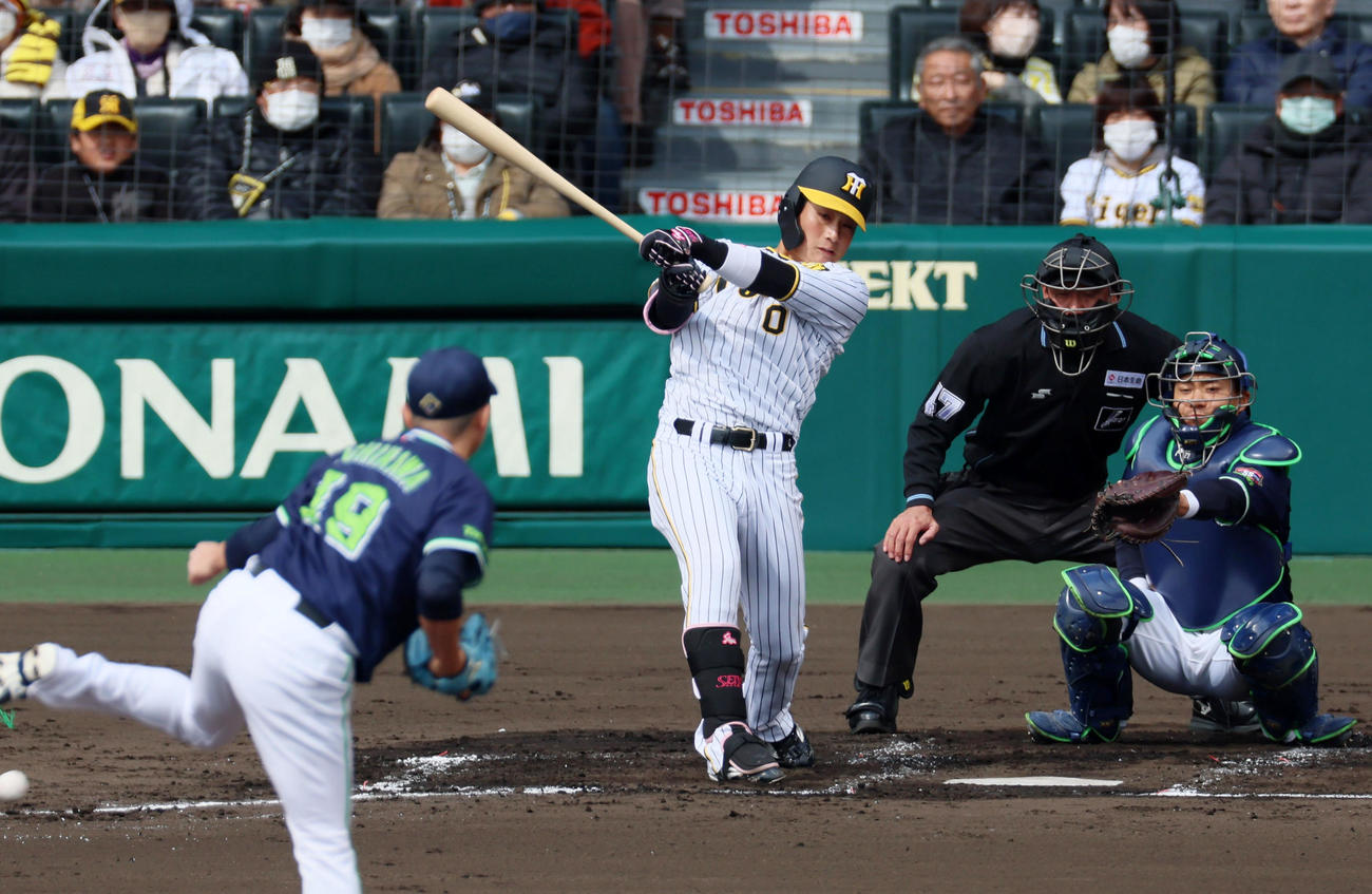 阪神対ヤクルト　2回裏阪神1死、木浪は右前打を放つ。投手は石川（撮影・加藤哉）