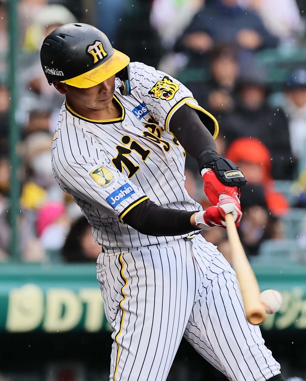 阪神対ヤクルト　3回裏阪神無死一、二塁、井上は左前に適時打を放つ（撮影・上田博志）
