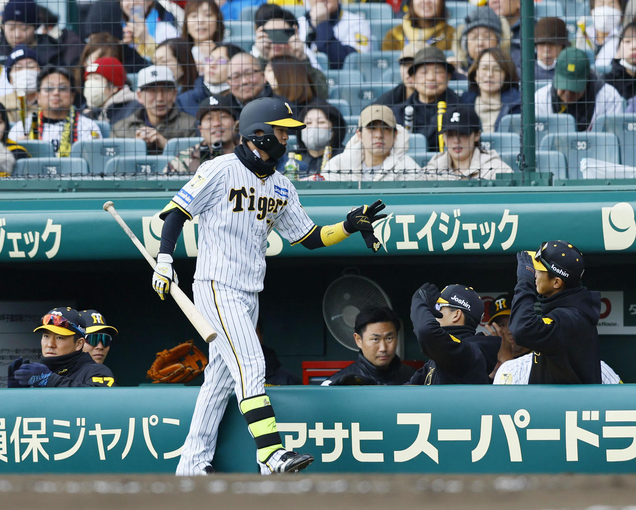 阪神対ヤクルト　2回裏阪神1死一、二塁、右前打を放ち、代走を送られベンチに退く中野（撮影・藤尾明華）