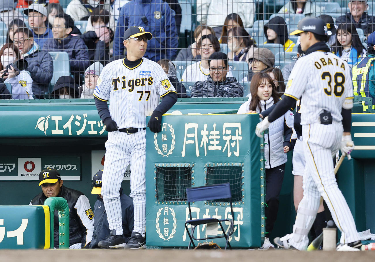 阪神対ヤクルト　ヤクルトに逆転負けし、ベンチを引き揚げる阪神岡田監督（左端）。右端は小幡（撮影・藤尾明華）